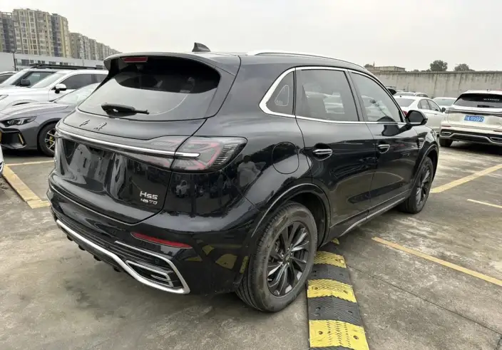 Hongqi HS5 2023 Model 2.0T Flag Xiang Pro Edition – фото 6