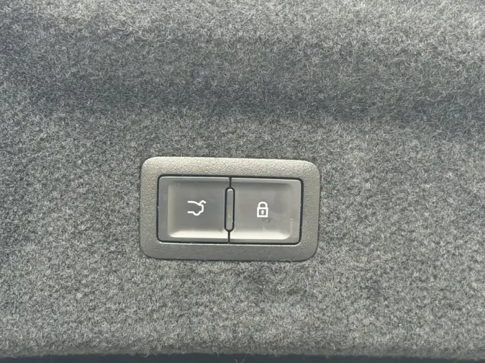 HONGQI H9 2022 Model 2.0T Smart Flag Enjoy Edition – фото 5