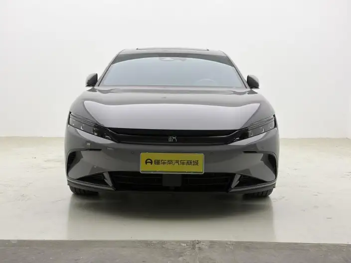 BYD Han DM 2025 Model DM-i 125KM Elite Model – фото 2