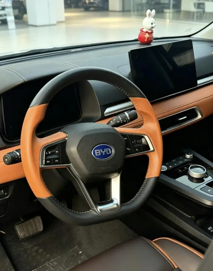BYD E2 2021 Model Luxury Model