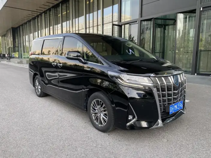 Elfa 2021 Model Hybrid 2.5L Deluxe Edition – фото 3