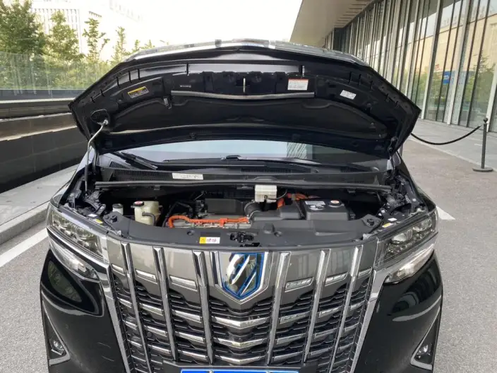 Elfa 2021 Model Hybrid 2.5L Deluxe Edition – фото 7