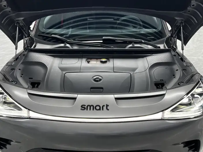 smart #1 2022 Model BRABUS Performance version – фото 8