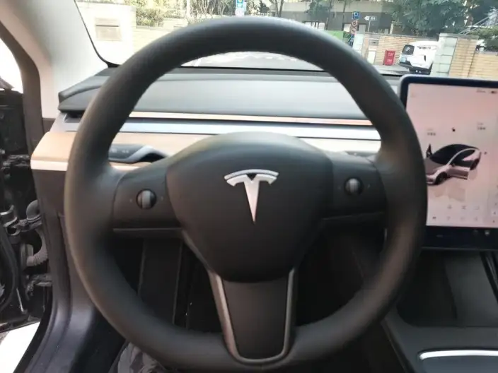 Model 3 2022 Model Performance High performance All-wheel drive version – фото 6