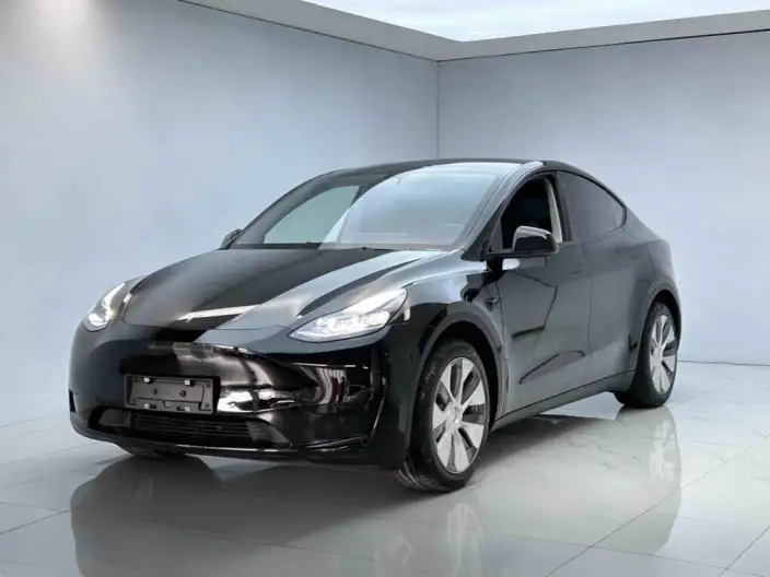 Model Y 2022 Model Rear-wheel drive version – фото 1