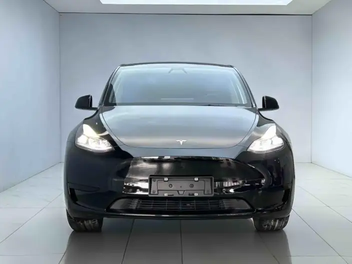Model Y 2022 Model Rear-wheel drive version – фото 2