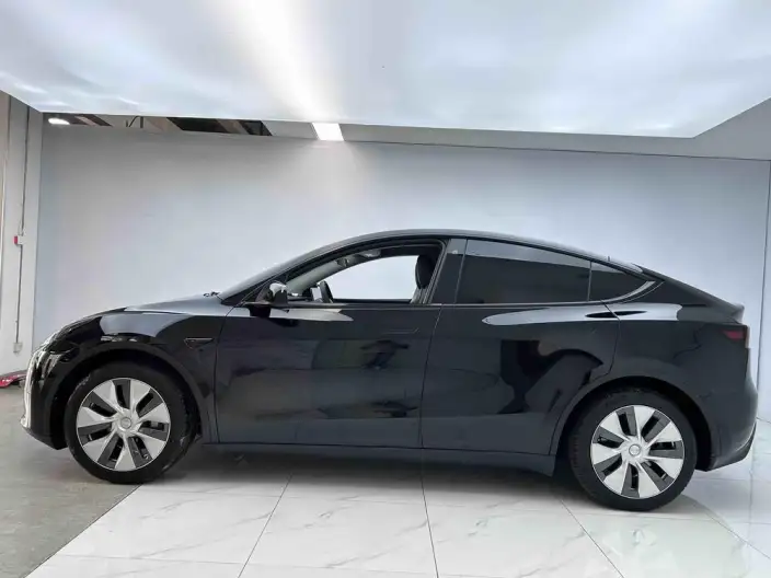 Model Y 2022 Model Rear-wheel drive version – фото 3