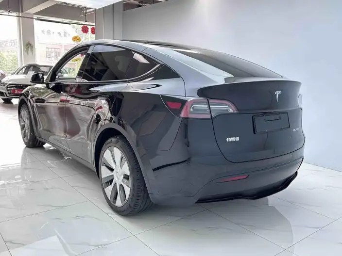 Model Y 2022 Model Rear-wheel drive version – фото 4