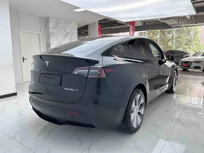 Model Y 2022 Model Rear-wheel drive version – фото 5