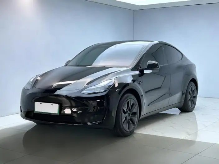 Model Y 2023 Model Rear-wheel drive version – фото 1