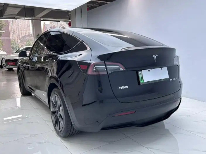 Model Y 2023 Model Rear-wheel drive version – фото 5