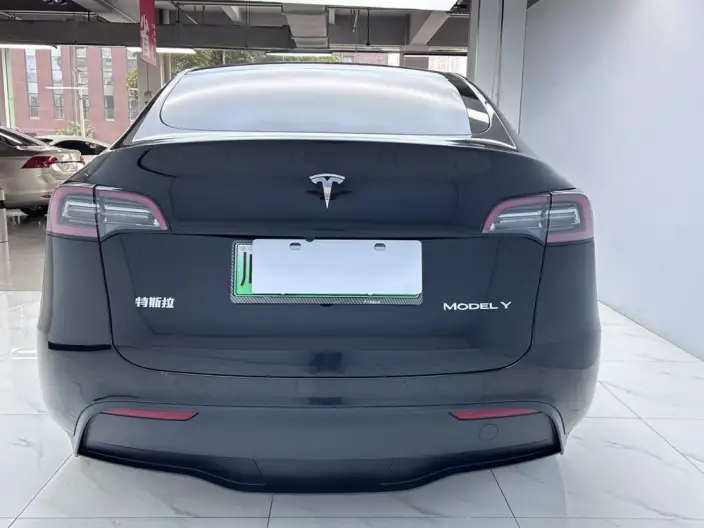 Model Y 2023 Model Rear-wheel drive version – фото 6