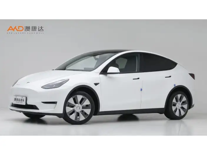 Model Y 2022 Model Long Battery Life Pro All-wheel drive version – фото 1