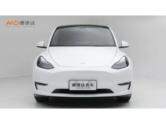 Model Y 2022 Model Long Battery Life Pro All-wheel drive version – фото 2