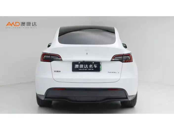 Model Y 2022 Model Long Battery Life Pro All-wheel drive version – фото 3