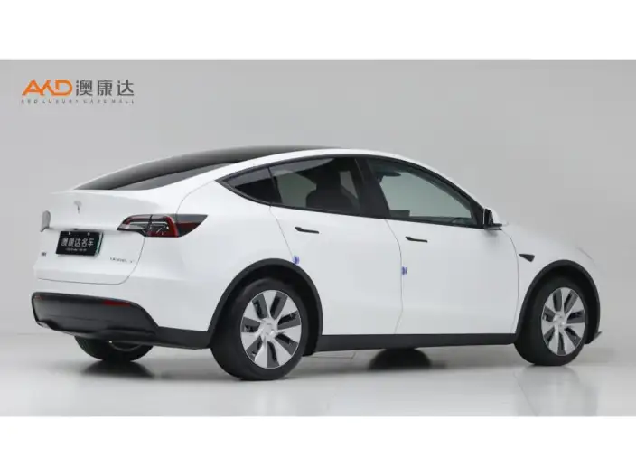 Model Y 2022 Model Long Battery Life Pro All-wheel drive version – фото 4