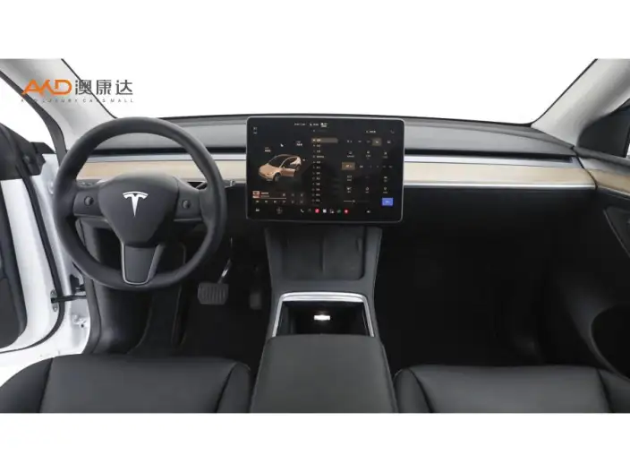 Model Y 2022 Model Long Battery Life Pro All-wheel drive version – фото 5