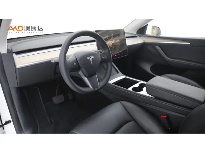 Model Y 2022 Model Long Battery Life Pro All-wheel drive version – фото 7