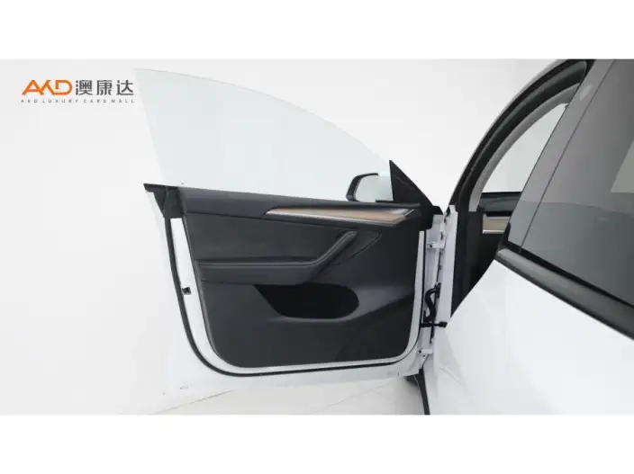 Model Y 2022 Model Long Battery Life Pro All-wheel drive version – фото 9