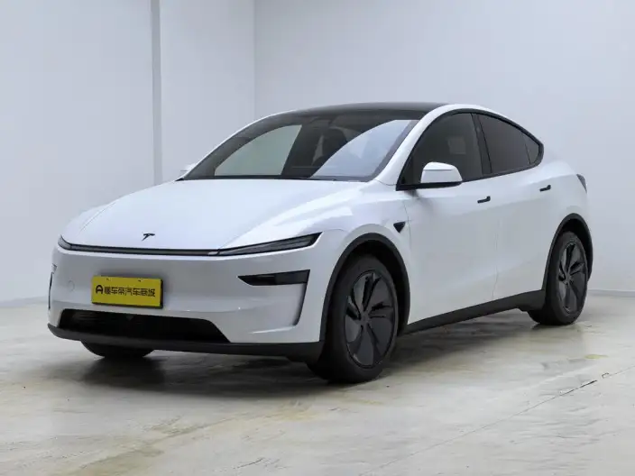 Model Y 2026 Model Rear-wheel drive version – фото 1