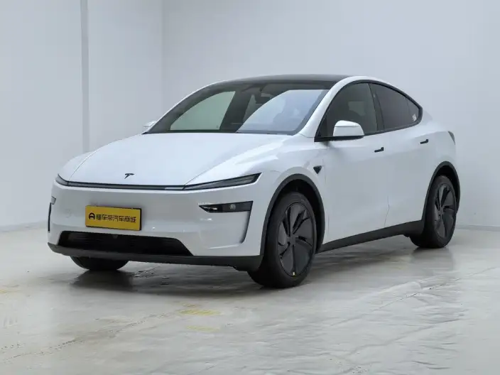 Model Y 2026 Model Rear-wheel drive version – фото 1