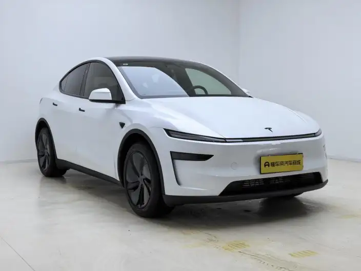 Model Y 2026 Model Rear-wheel drive version – фото 3
