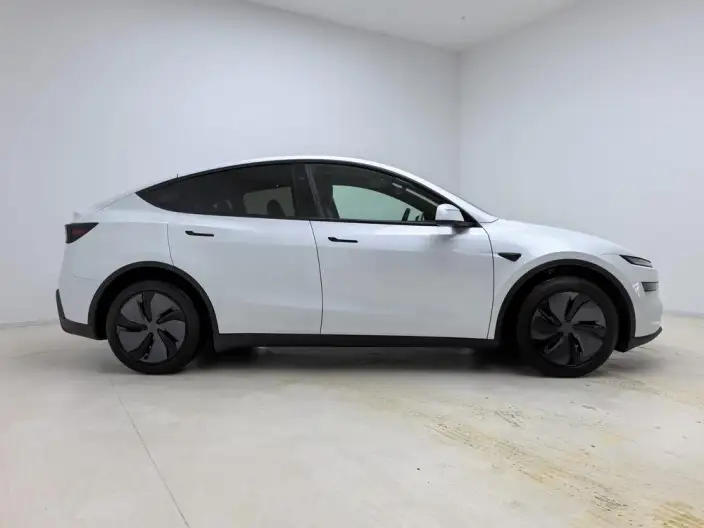Model Y 2026 Model Rear-wheel drive version – фото 8