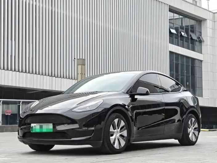 Model Y 2021 Model Facelift Long Battery Life Pro All-wheel drive version – фото 1