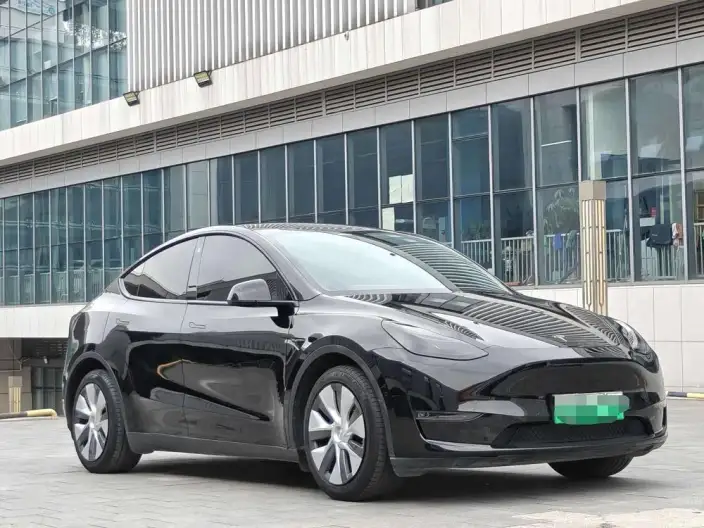 Model Y 2021 Model Facelift Long Battery Life Pro All-wheel drive version – фото 3