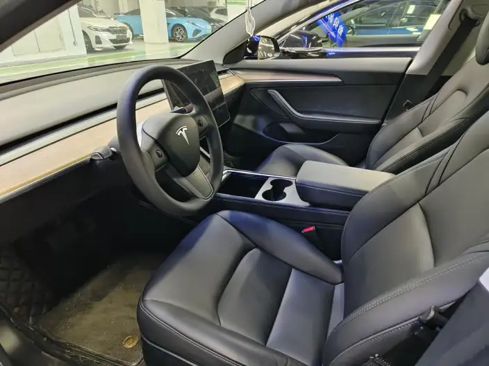 Model 3 2022 Model Rear-wheel drive version – фото 8