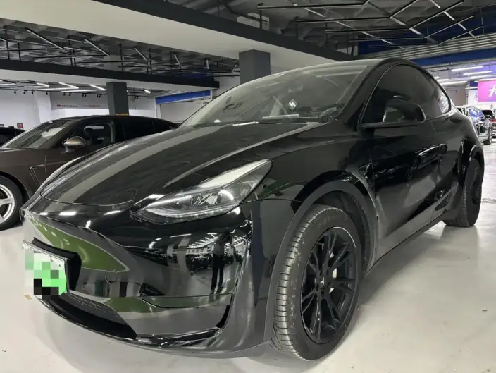 Model Y 2022 Model Rear-wheel drive version – фото 1