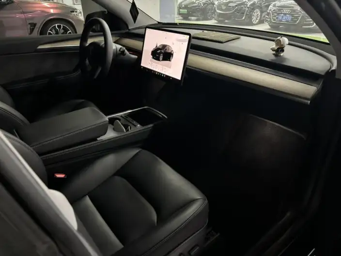 Model Y 2022 Model Rear-wheel drive version – фото 7