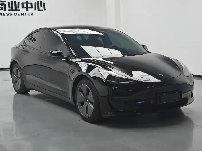 Model 3 2022 Model Rear-wheel drive version – фото 3