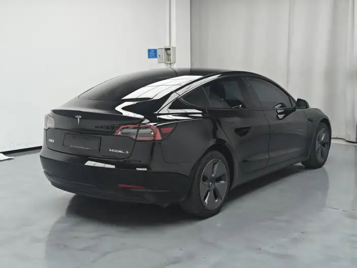Model 3 2022 Model Rear-wheel drive version – фото 6