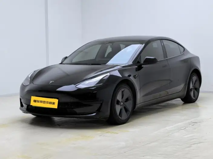 Model 3 2022 Model Rear-wheel drive version – фото 1