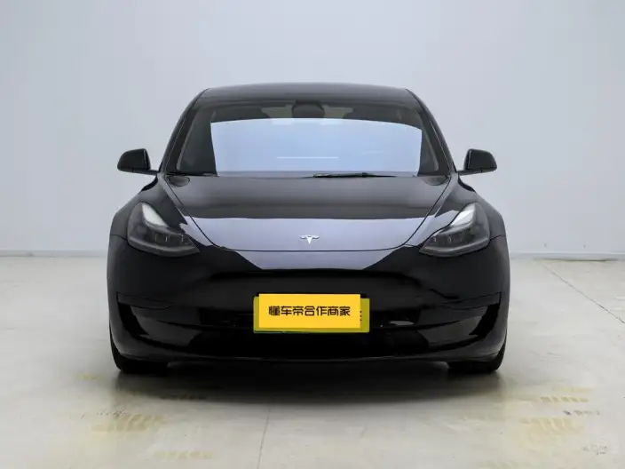 Model 3 2022 Model Rear-wheel drive version – фото 2