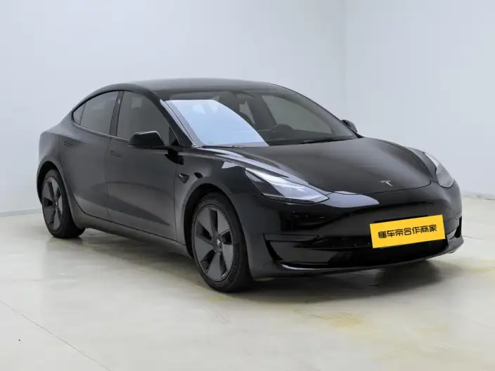 Model 3 2022 Model Rear-wheel drive version – фото 3