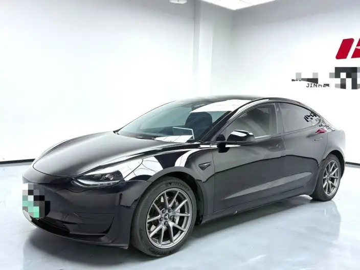 Model 3 2022 Model Rear-wheel drive version – фото 1