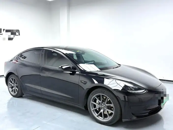 Model 3 2022 Model Rear-wheel drive version – фото 3
