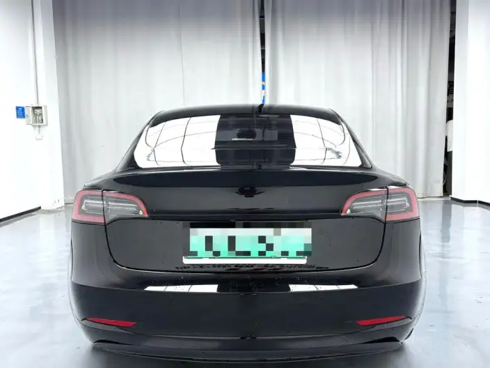 Model 3 2022 Model Rear-wheel drive version – фото 5