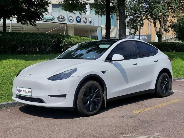Model Y 2023 Model Rear-wheel drive version – фото 1