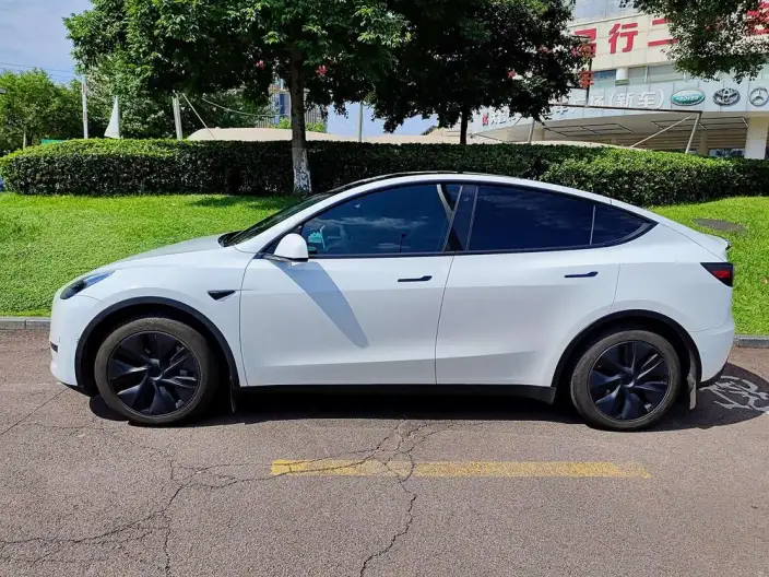 Model Y 2023 Model Rear-wheel drive version – фото 3