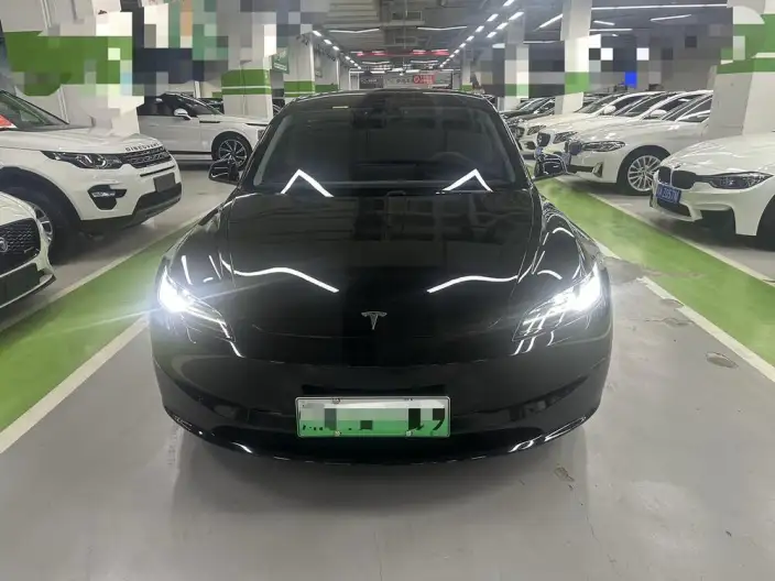Model 3 2023 Model Rear-wheel drive version – фото 2
