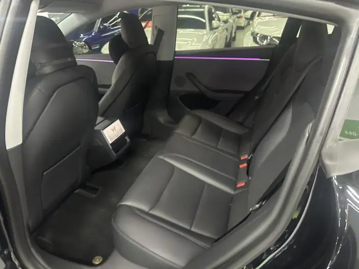 Model 3 2023 Model Rear-wheel drive version – фото 9