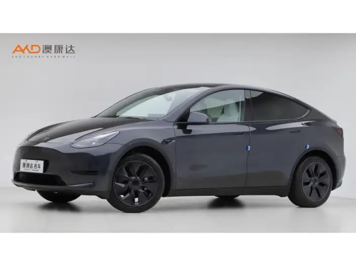Model Y 2024 Model Rear-wheel drive version – фото 1