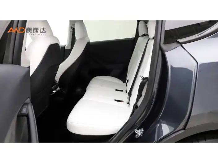 Model Y 2024 Model Rear-wheel drive version – фото 8
