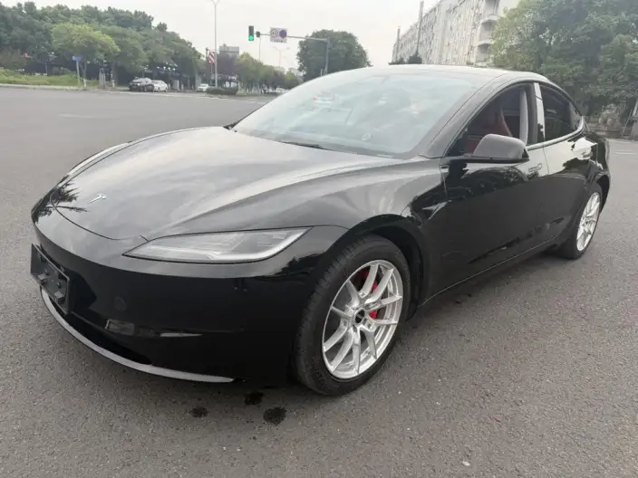Model 3 2025 Model Long Battery Life Pro All-wheel drive version – фото 1
