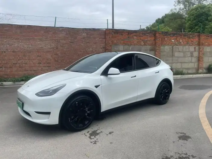 Model Y 2024 Model Rear-wheel drive version – фото 1