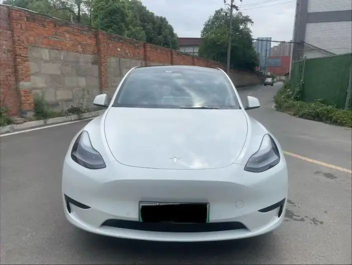 Model Y 2024 Model Rear-wheel drive version – фото 2