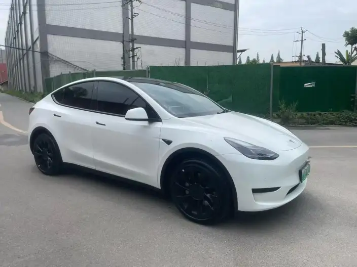 Model Y 2024 Model Rear-wheel drive version – фото 3